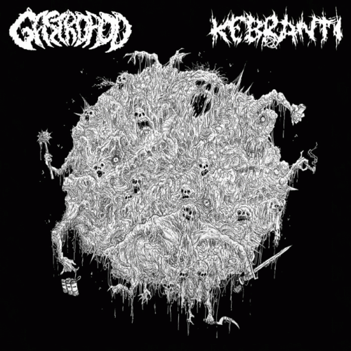 Gastropod : Gastropod - Kebranti